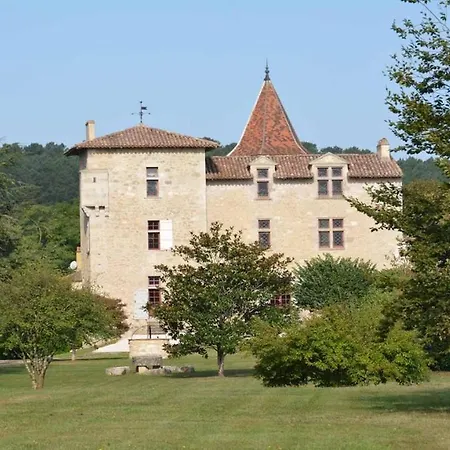 Chateau De Cauderoue Nérac Exterior foto