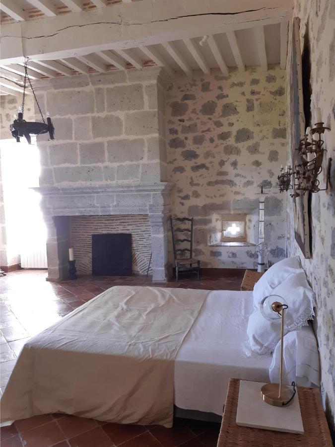 Chateau De Cauderoue * Nerac